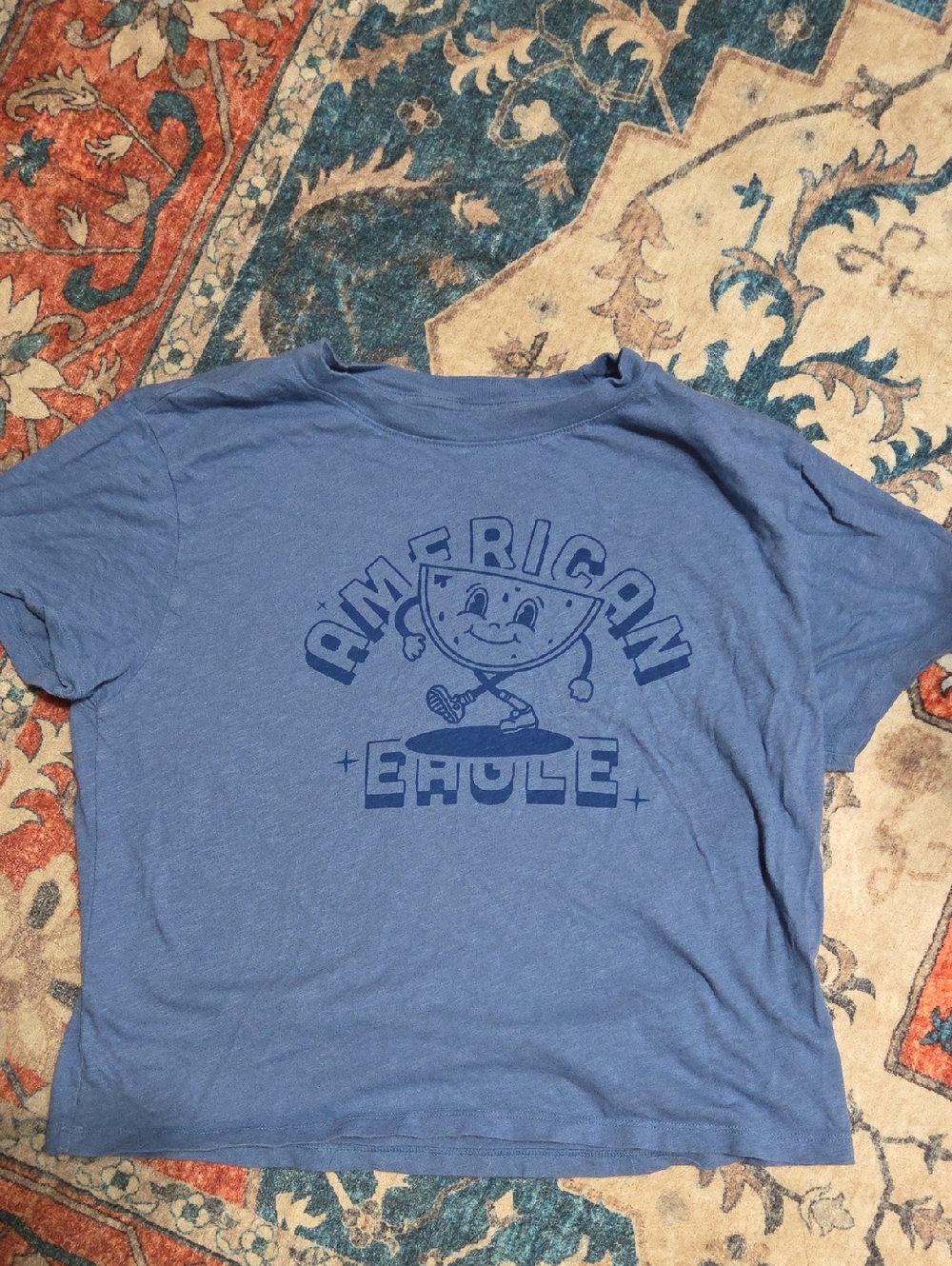 American Eagle Outfitters Blue Graphic Tee